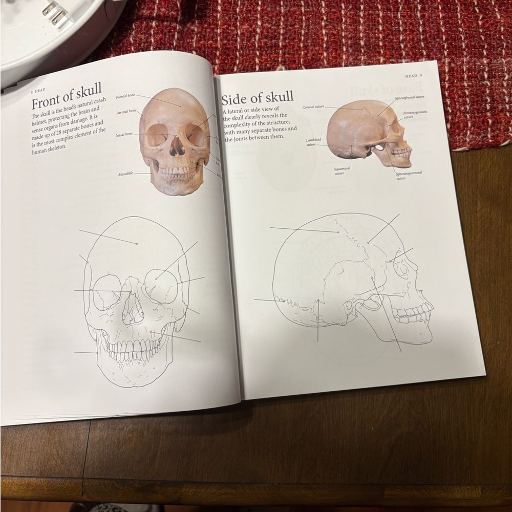 Human Body Coloring Book - Picture 13 of 15